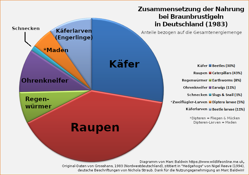 Chart zur Ernährung deutscher Braunbrustigel